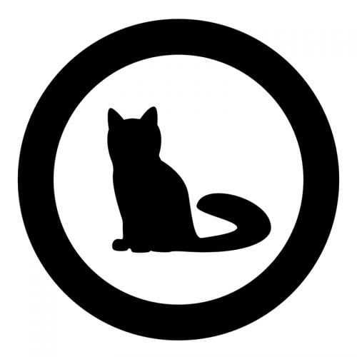 A80