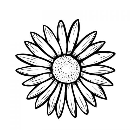 K08