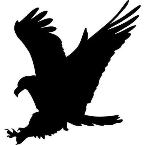 A196