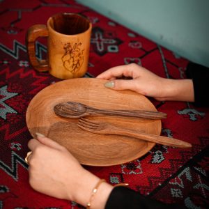 بشقاب 18 ساتی scaled