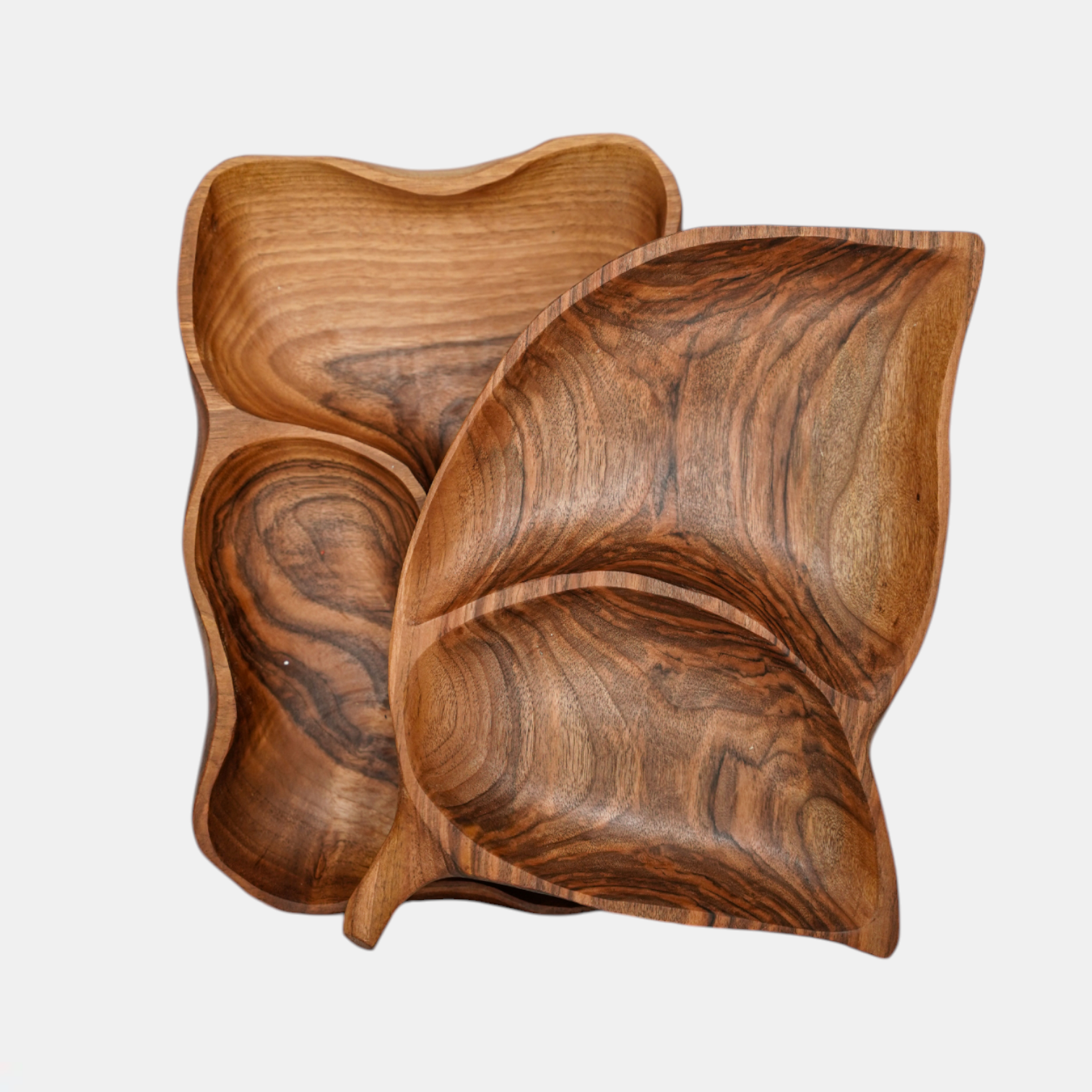 Photoroom-20260219_120146 Photoroom 20260219 120146