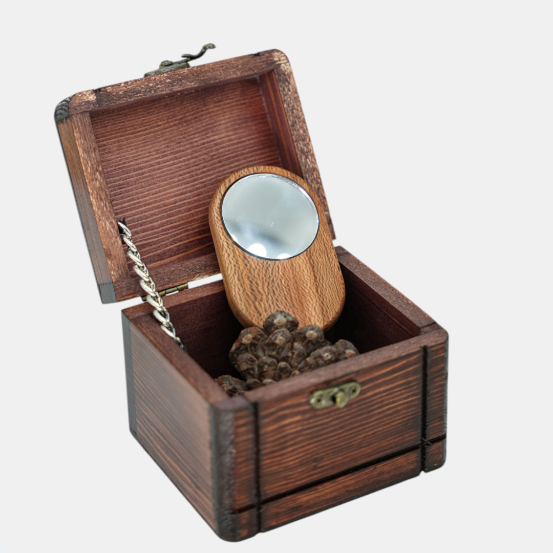 Photoroom 20251126 163025