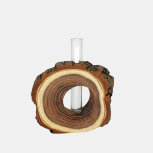 Photoroom 20251103 112657