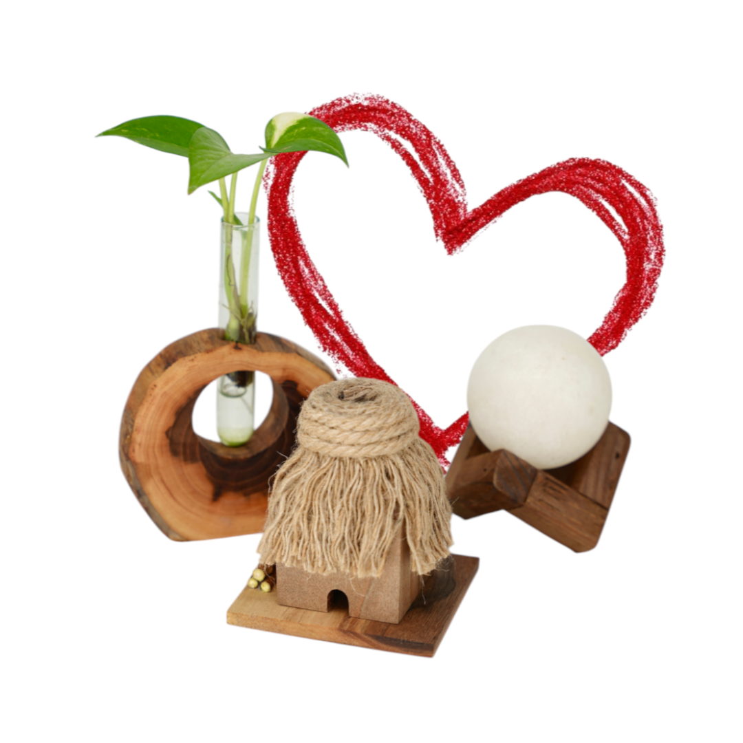 Photoroom 20260205 123012