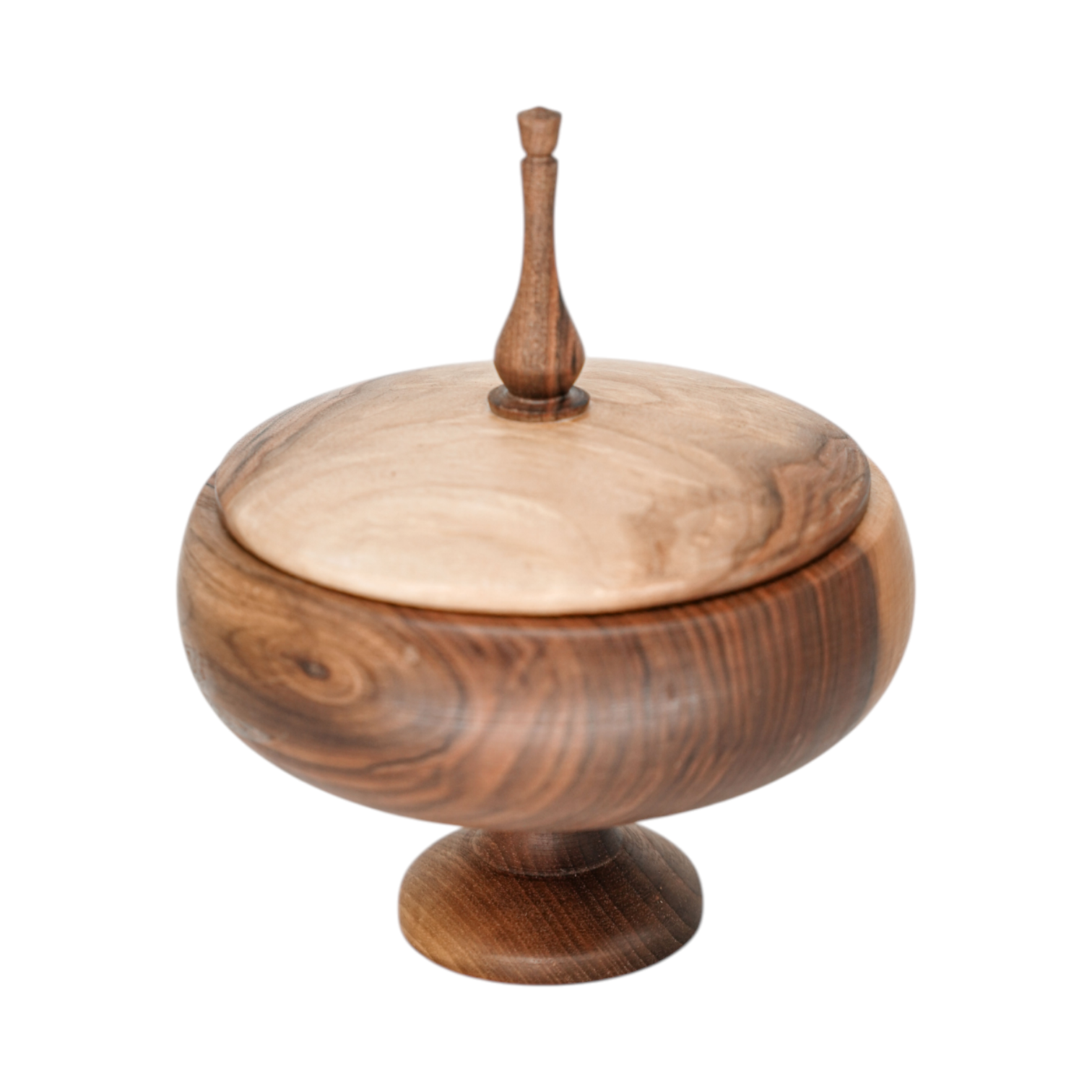 Photoroom-20260216_145512 Photoroom 20260216 145512