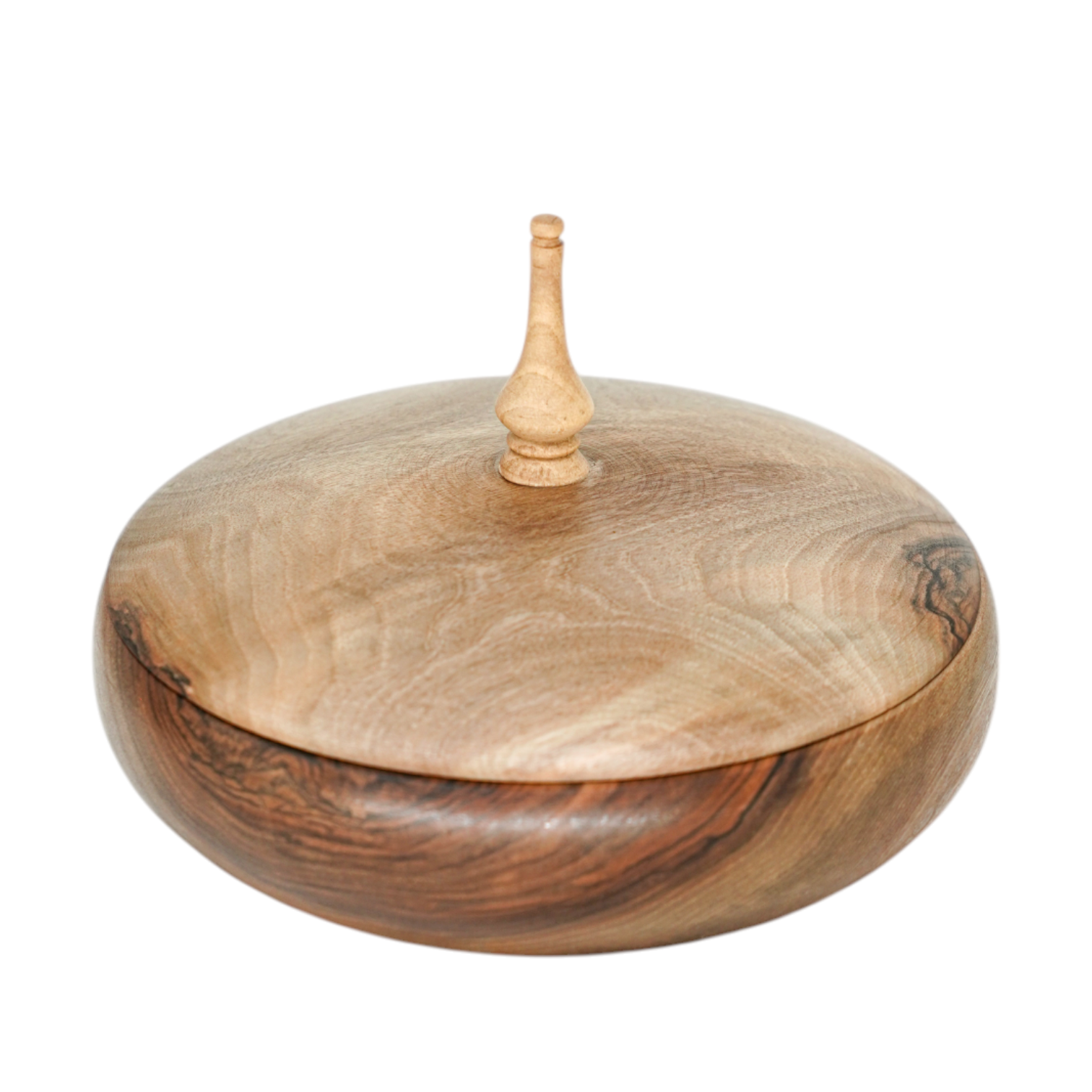 Photoroom-20260216_150013 Photoroom 20260216 150013