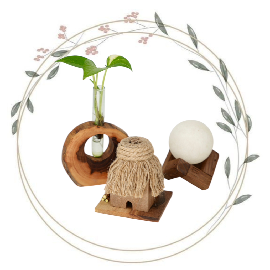 Photoroom 20260221 113628 1