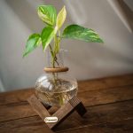گلدان چوب و شیشه مدل 4 - تصویر 2