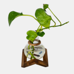 گلدان چوب و شیشه مدل 4