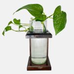 گلدان چوب و شیشه مدل 2